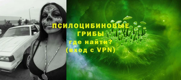 гашик Кукмор