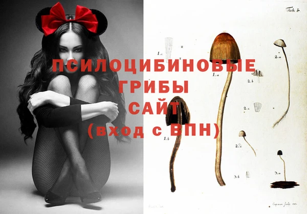 гашик Кукмор